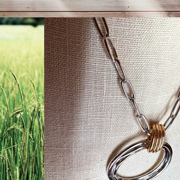 Two-Tone Ring Necklace - Picture 4 of 11